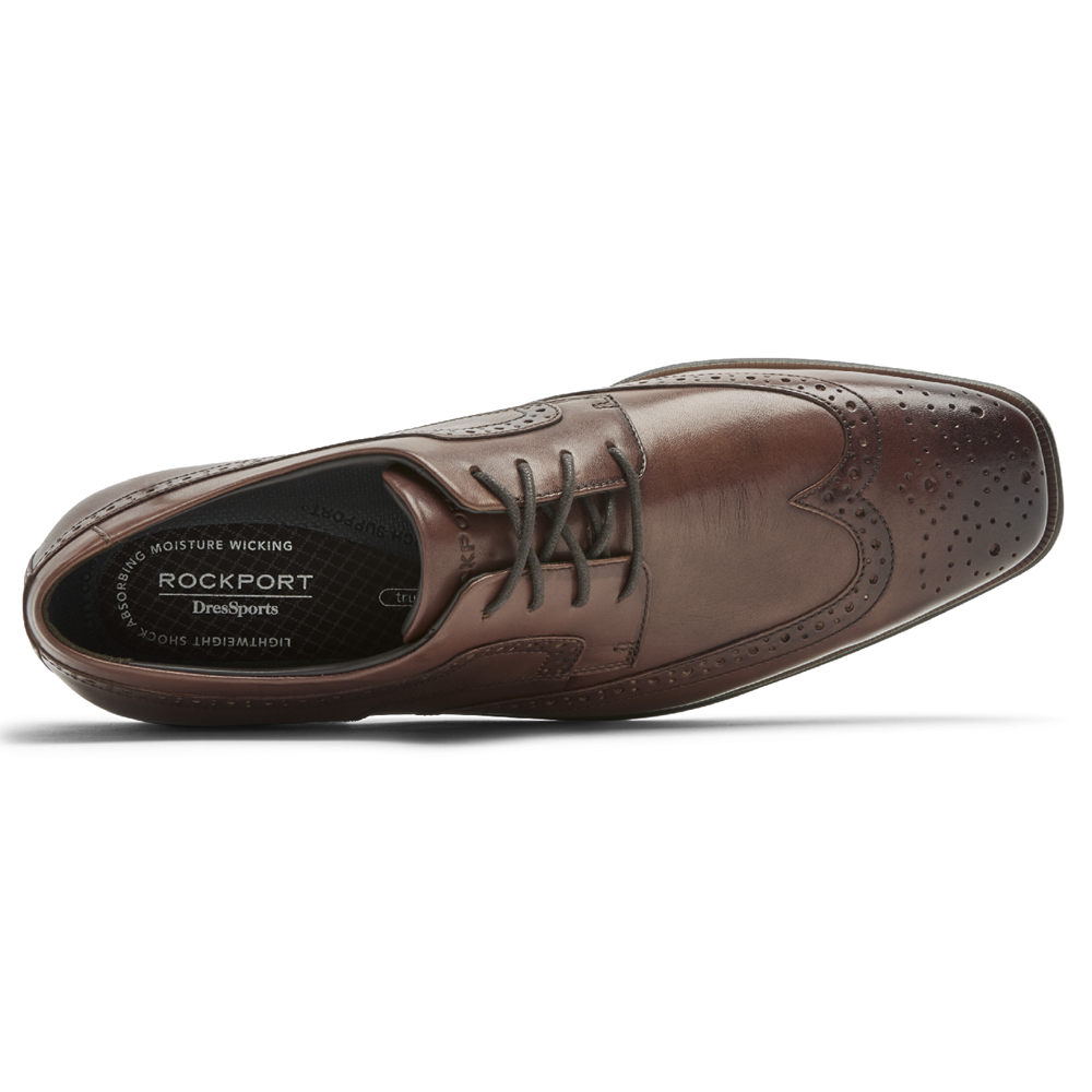 Rockport Pen Sko Herre Brune - Dres Sports Business 2 Wingtip - INBY68205